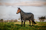 Rhino Plus Turnout Bundle (0g + 200g) - Horseware