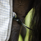 Amigo Summer Sheet Plus by Horseware