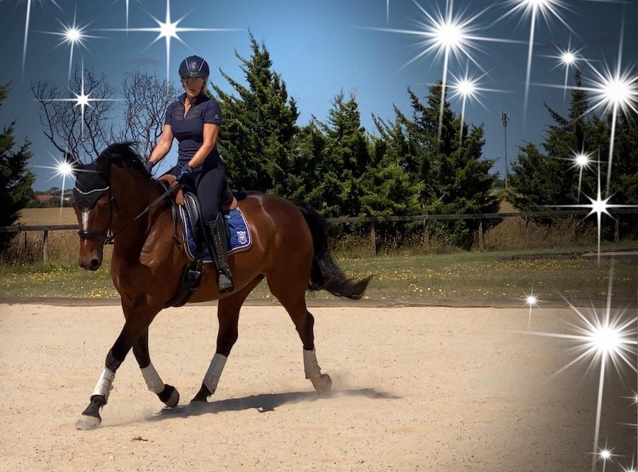 Horse Addiction | Quality Equine Products