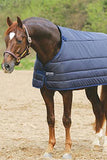 Horseware Liner 100g Fill