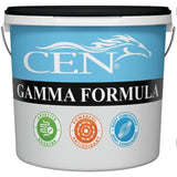 CEN Gamma Formula 2L